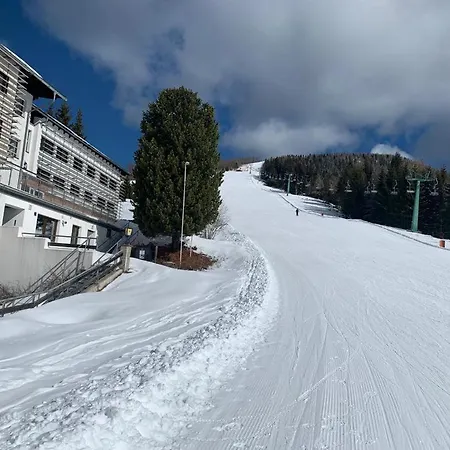 Alpenrose Gerlitzen تريفن