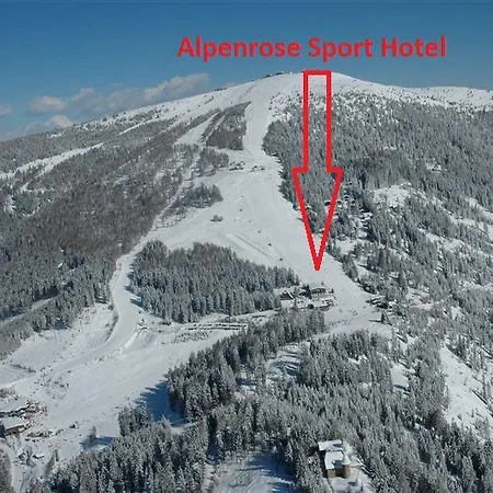Hotel Alpenrose 3*