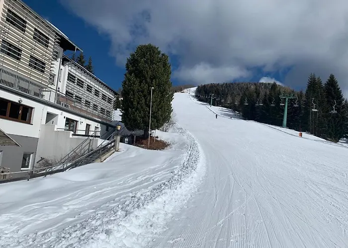 Alpenrose Gerlitzen Treffen am Ossiacher See