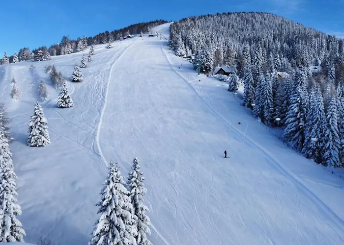Alpenrose Gerlitzen Hotel